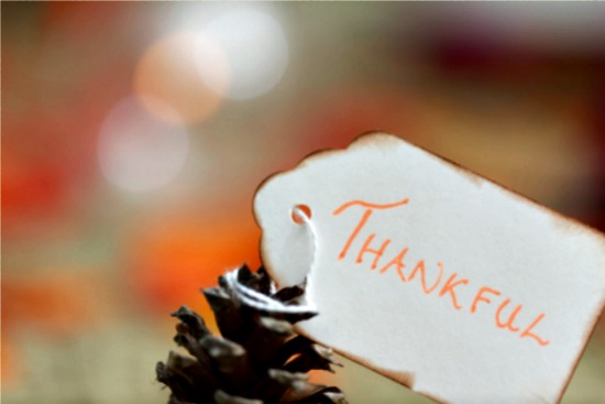 Generating Gratitude This Holiday Season